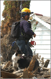 A FEMA Urban Search and Rescue worker and his rescue dog search for residents trapped in collapsed houses in a neighborhood affected by Hurricane Katrina. Jocelyn Augustino/FEMA