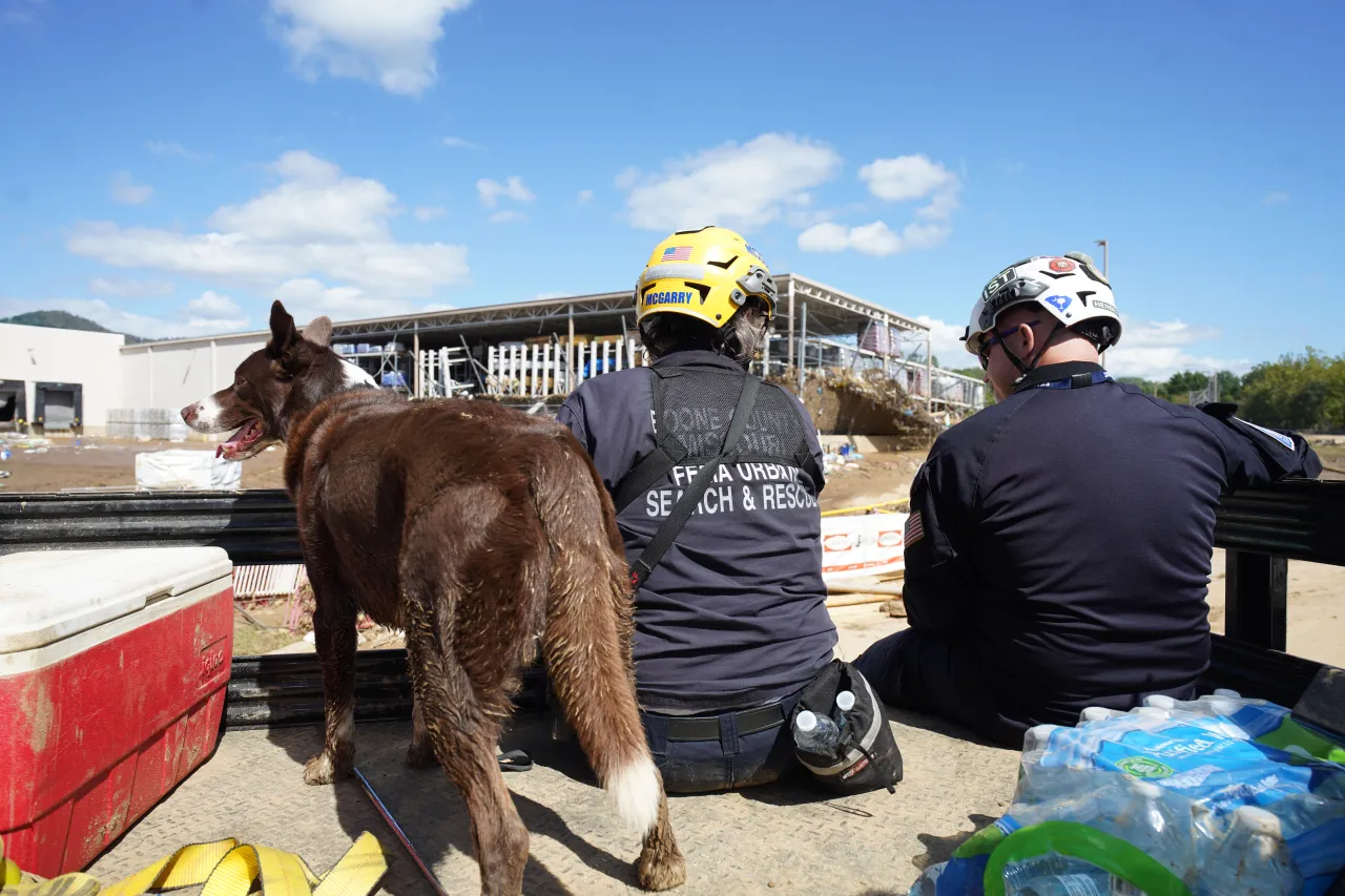 Urban Search and Rescue Canine Handler in Asheville, NC (004) Image: Urban Search and Rescue Canine Handler in Asheville, NC (004)
