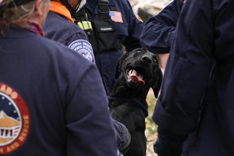 Search and Rescue Team with working dog Scours Fire-Damaged Areas of Oregon for Survivors