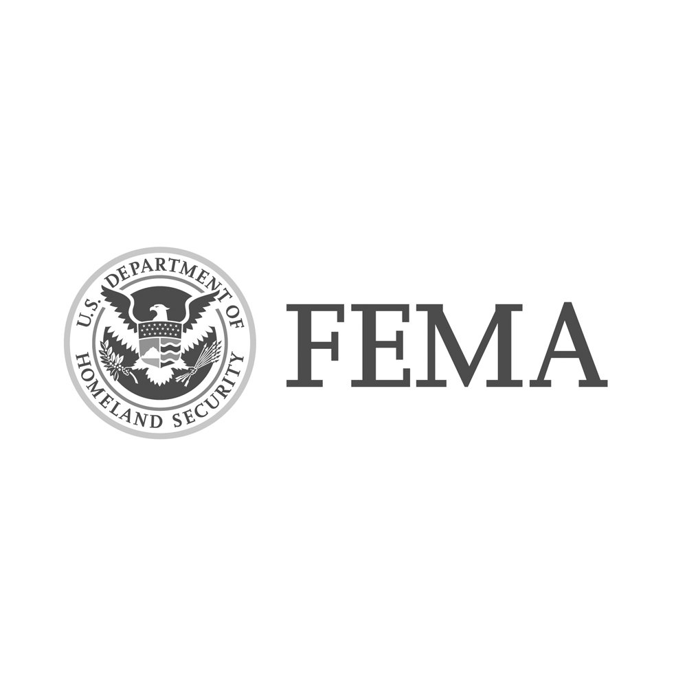 A FEMA logo in grayscale