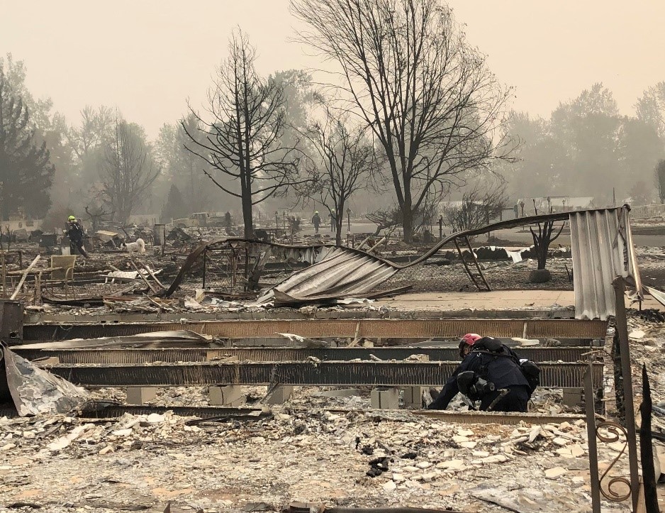 JACKSON, Oregon. -- FEMA Search and Rescue teams from Nevada and Utah scour through debris under the direction of the Jackson County Sheriff’s Department.