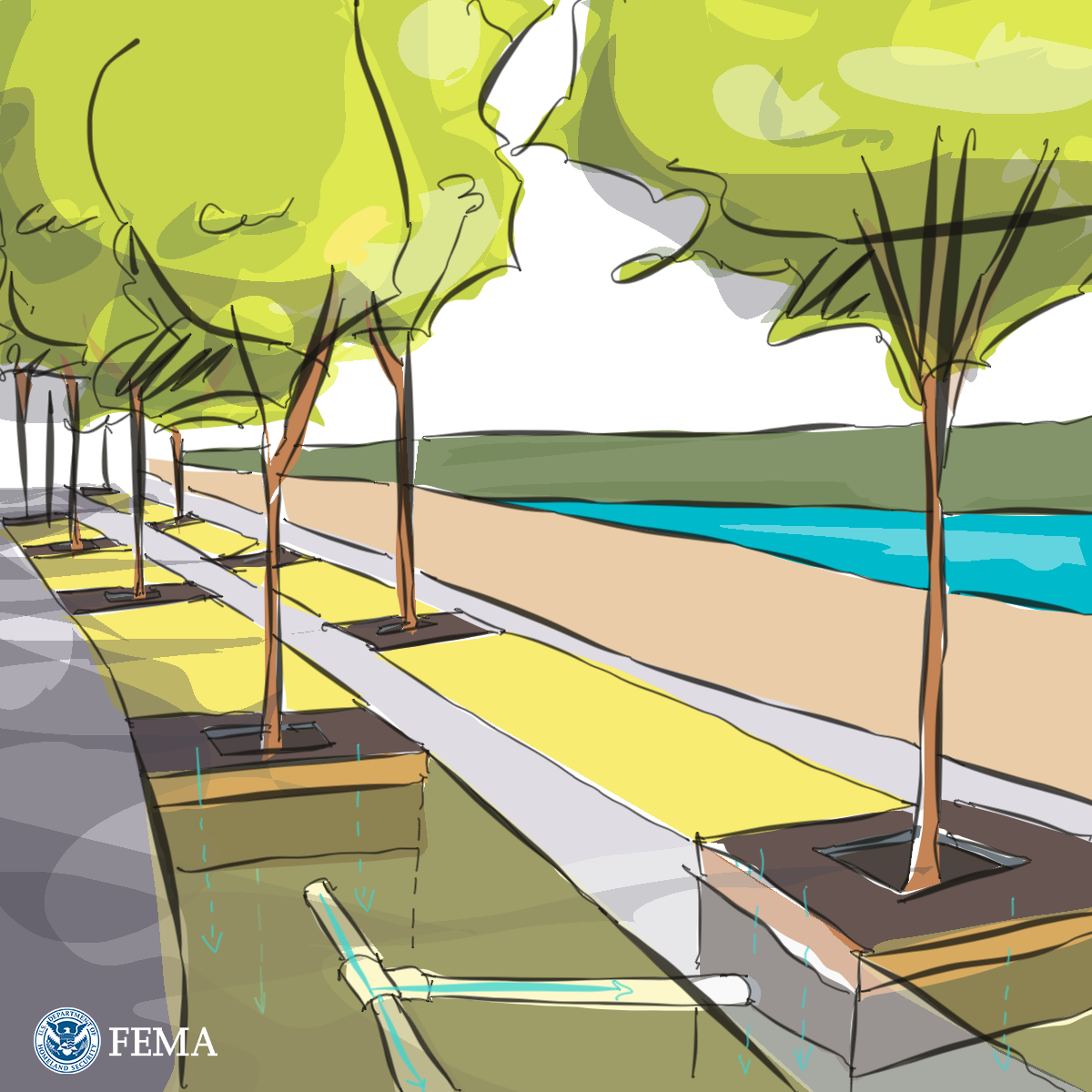 Graphic for Neighborhood or Site Scale: Tree Trenches