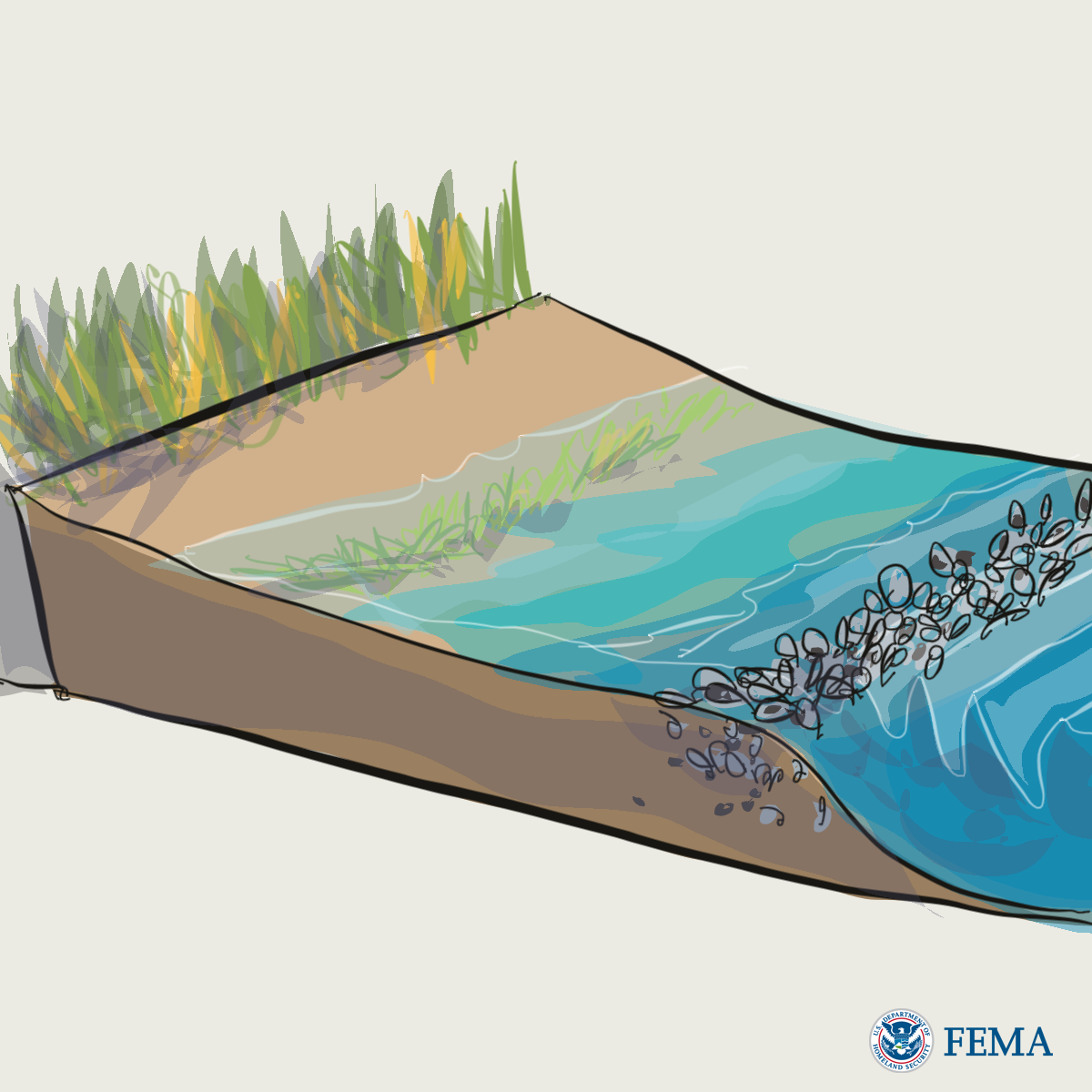 Graphic for Coastal Areas: Oyster Reefs