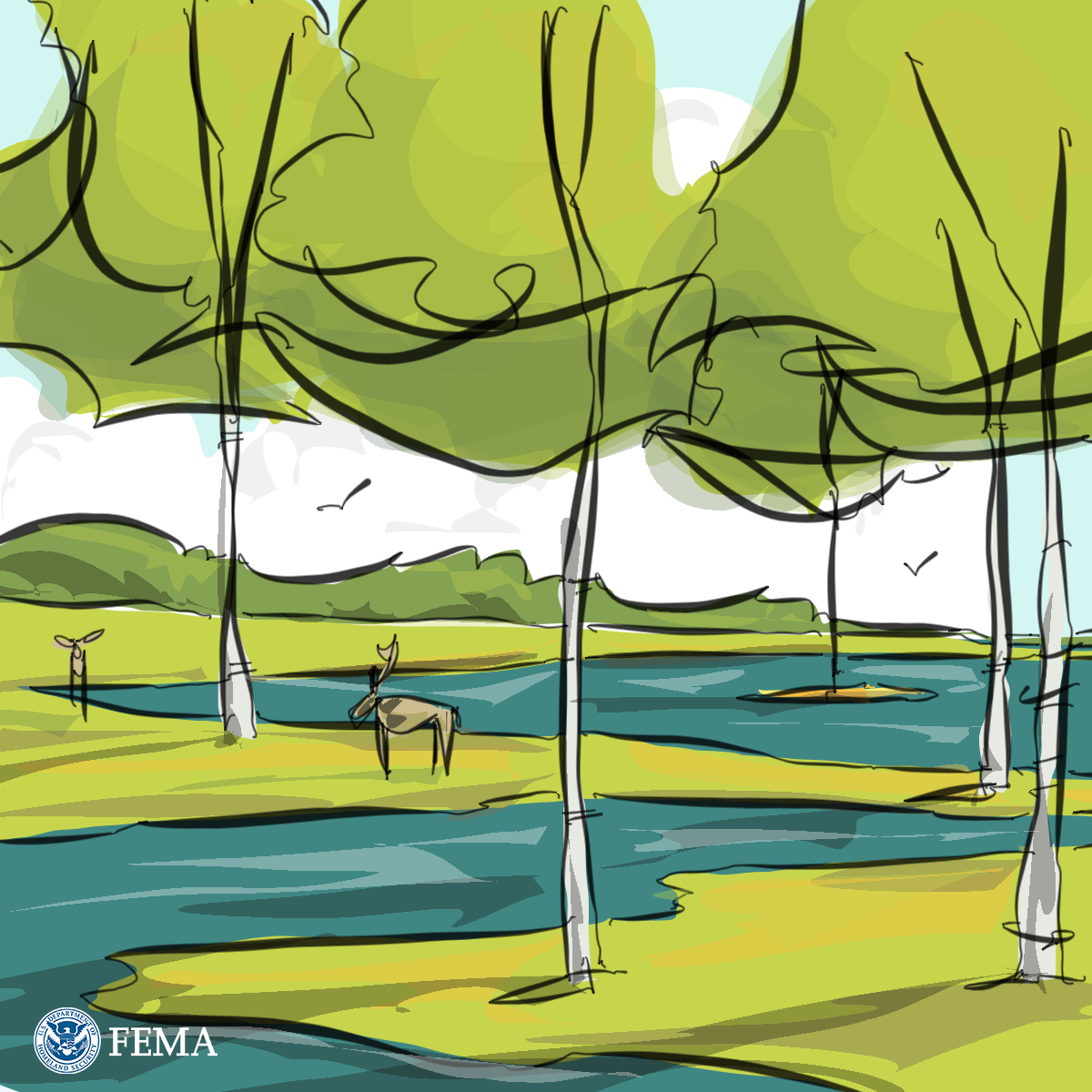 Graphic for Watershed Scale: Wetland Restoration and Protection