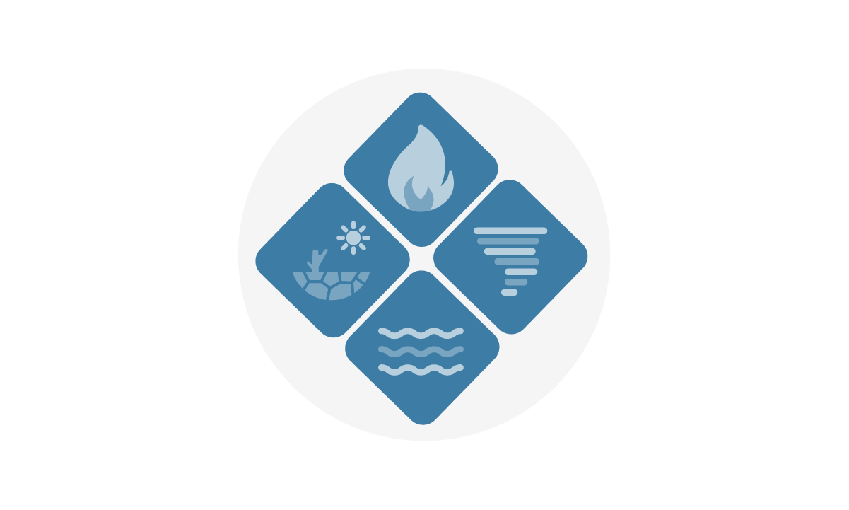 $ squares colored blue. One square has a fire, another sqare has a tornado, the third one has a symbol for flooding. The lasr sqaure is a pciture of the desert. 