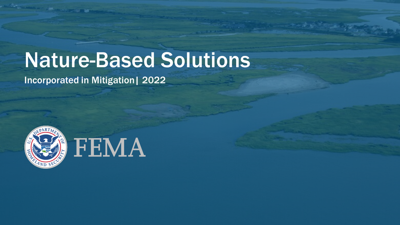 Picture of wetlands. Text reads Nature-Based Solutions, Incorporated in Mitigation, 2022.