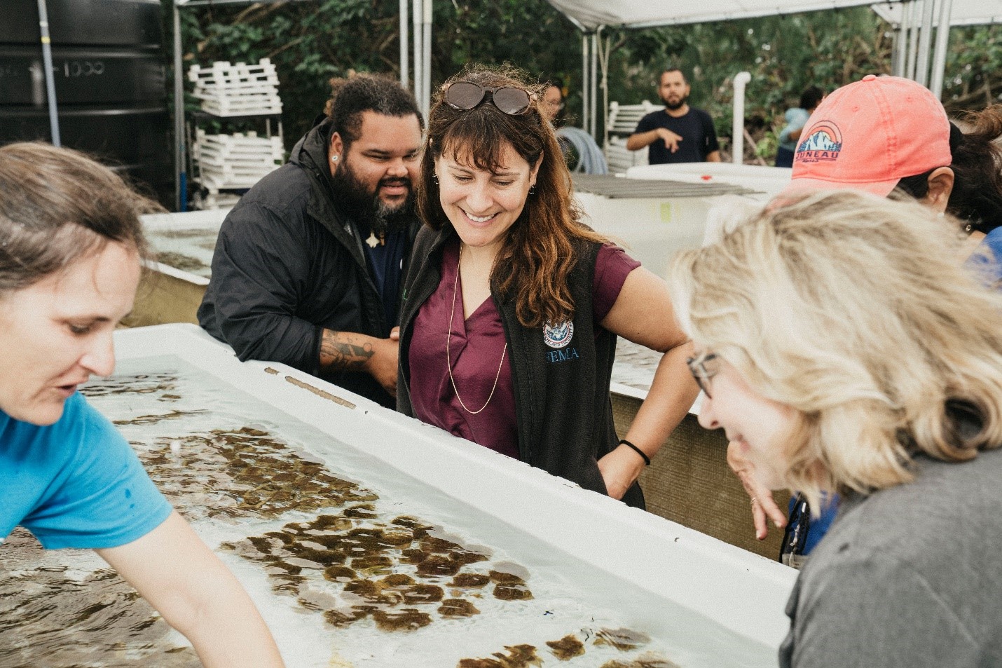 FEMA’s deputy administrator for Resilience in Washington, Victoria Salinas visited the Coral Reef Nursery in Ceiba at the Center for Research and Restoration of Marine Organisms.