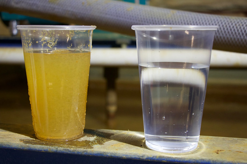 Two glasses of water, one yellow and one clear