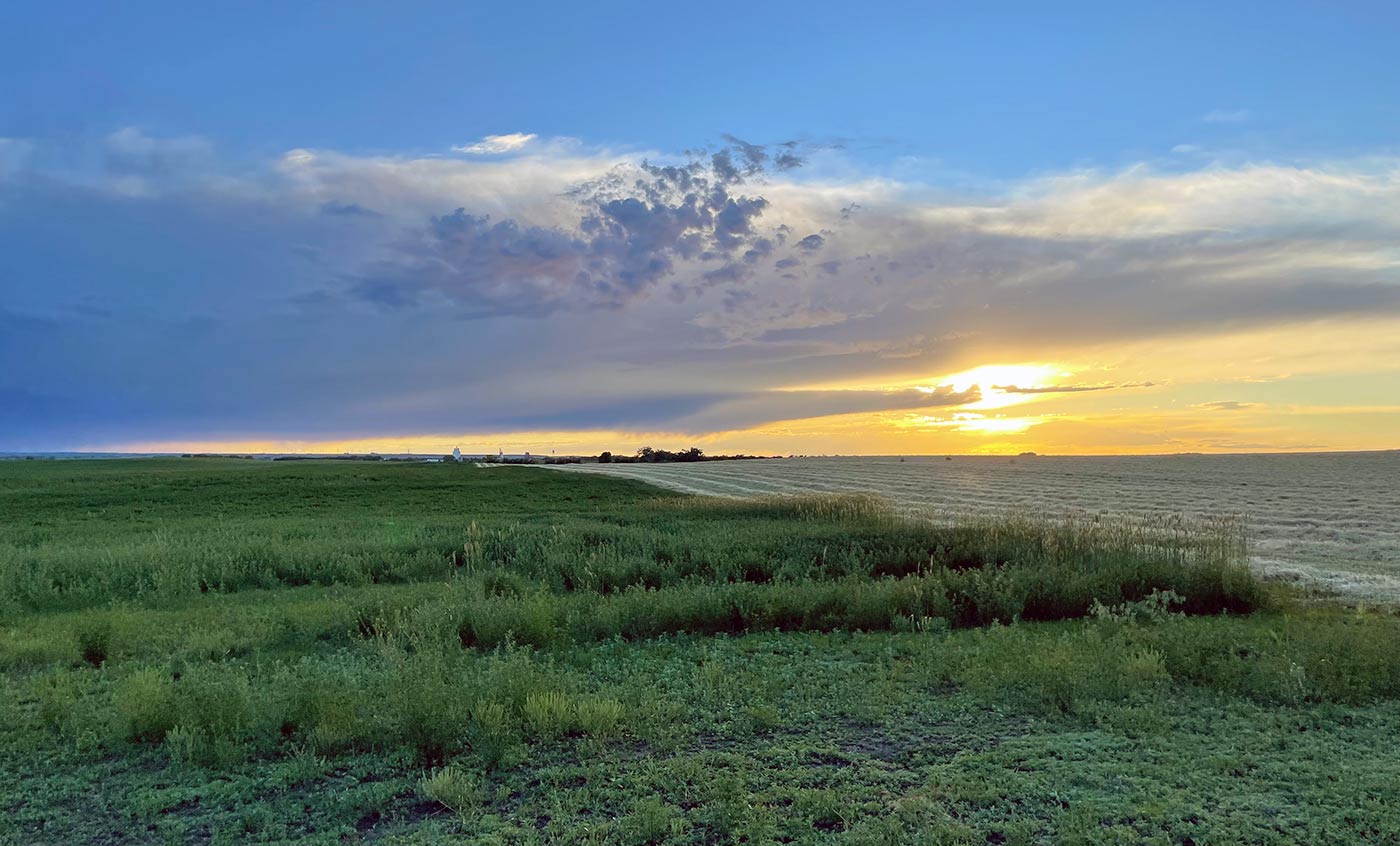 Sunrise over the plains.