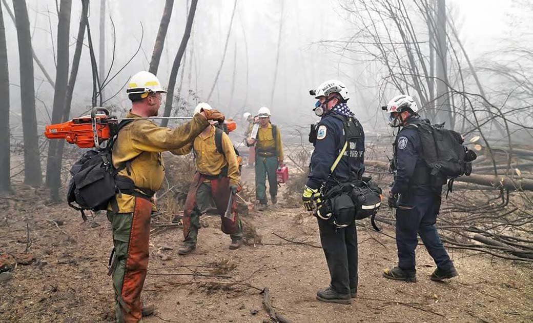 Firefighters carrying equipment in a burnt forest.