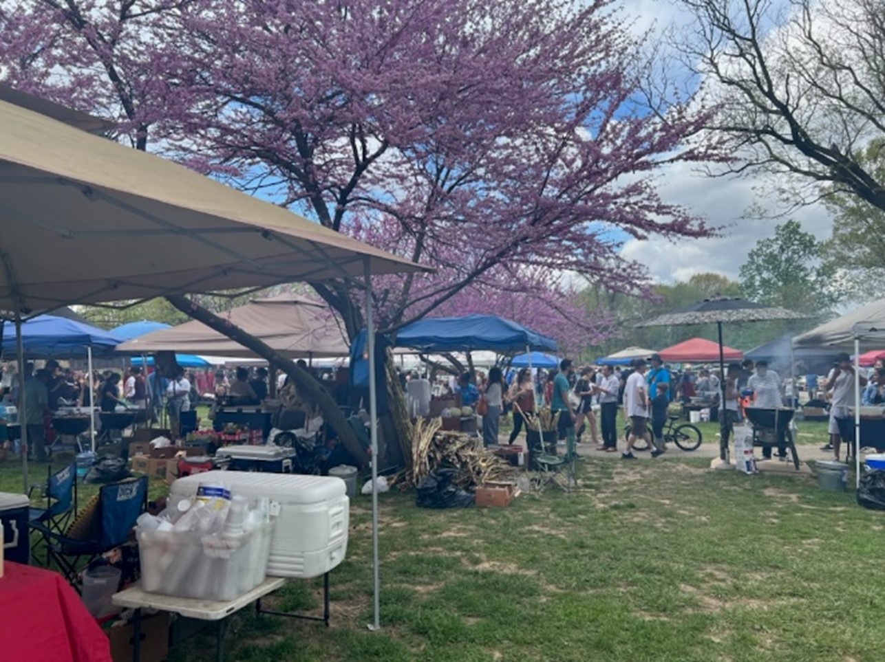 The Southeast Asian Market at FDR Park 