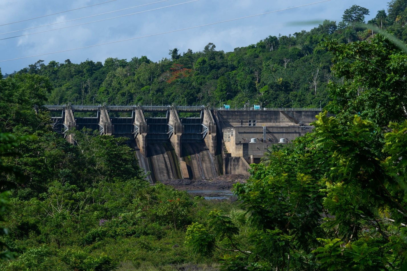 View of the Carraizo Dam sorrounded by trees and vegetation.