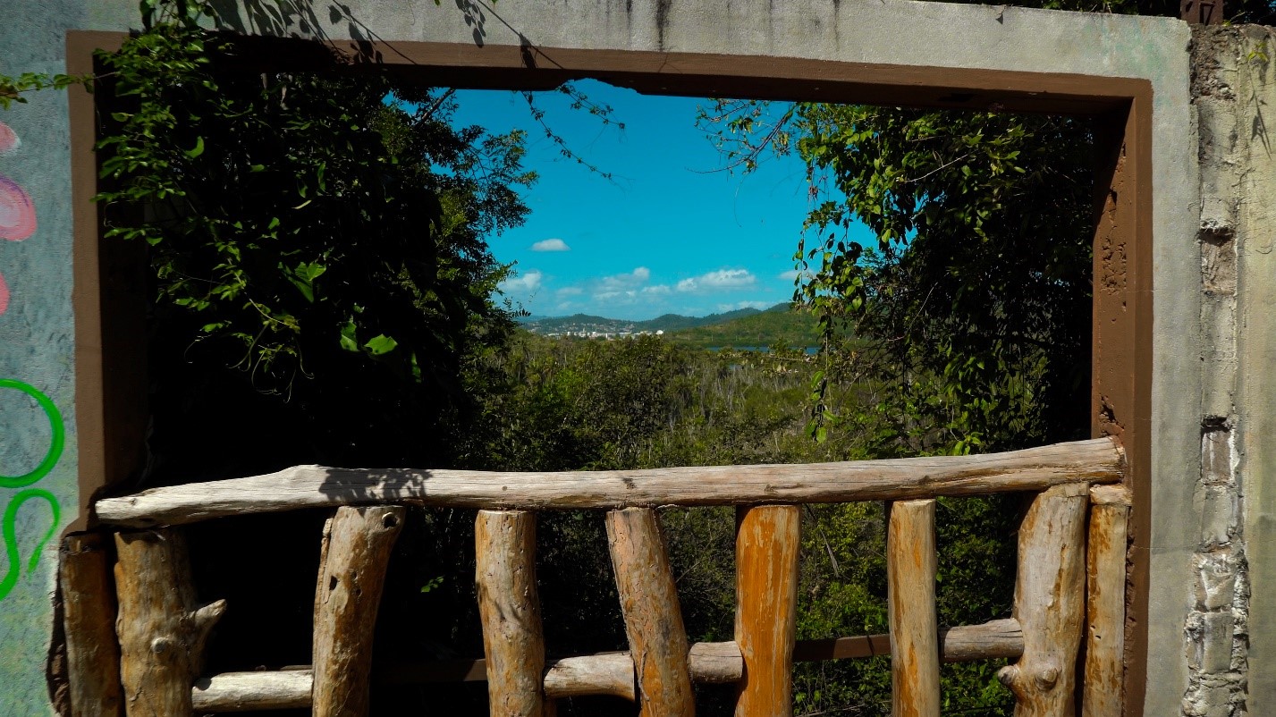 A boarded window view at Efrain Archilla Diez Nature Reserve Humacao