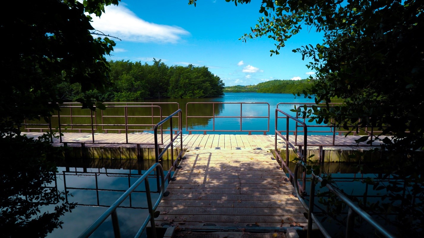 Boardwalk at Efrain Archilla Diez Nature Reserve Lagoons