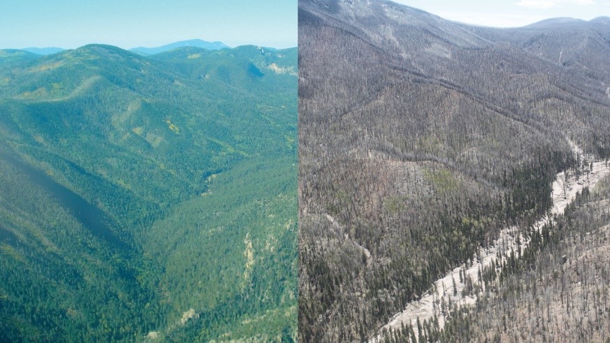 Before and after photographs of the Santa Clara Canyon