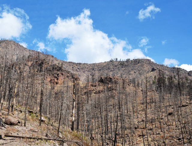 A view of the Santa Clara Canyon following the 2011 Las Conchas Fire