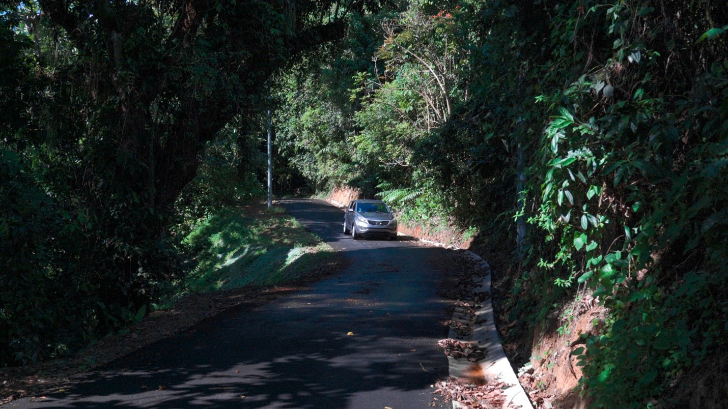 rural road with silver car surrounded by trees