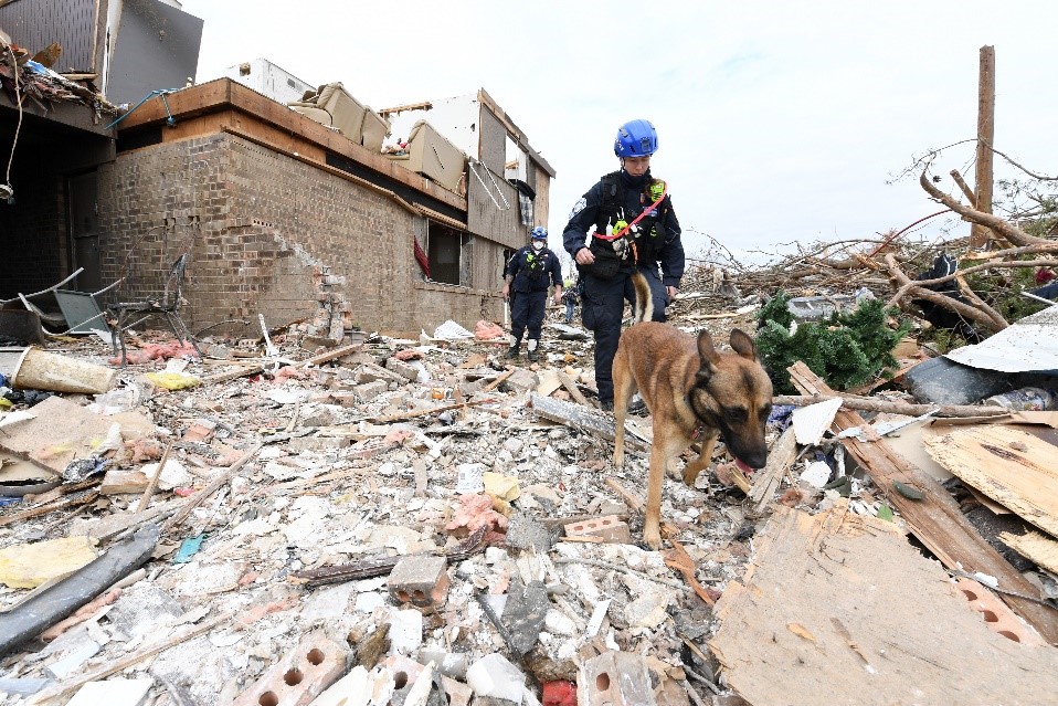 Search Rescue Team in Kentucky searching through debris