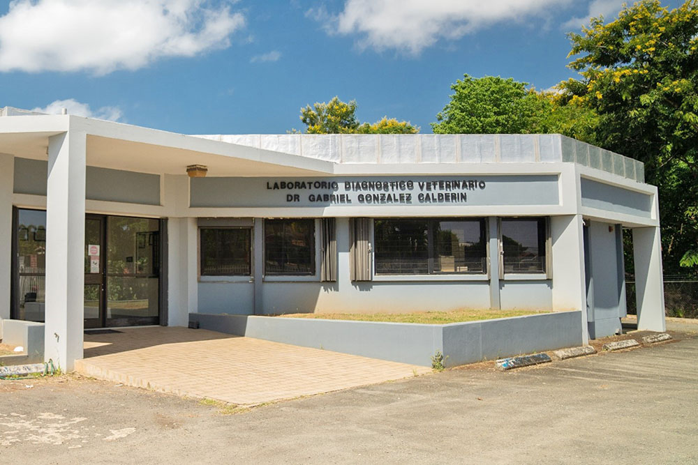 Front view of grey and white building with glass doors and windows.