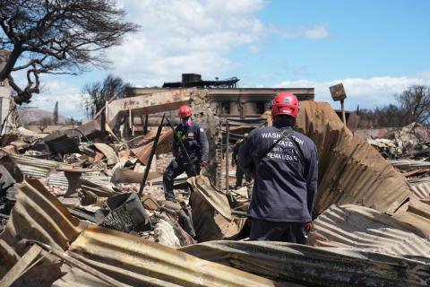 Image with caption: Maui, Hawaii -- Los equipos de Busqueda y Rescate Urbano de FEMA, Washington State Task Force 1 y Nevada Task Force 1, continúan los esfuerzos federales de respuesta.