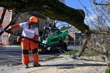 Woman standing using large tool to cut fallen trees.
