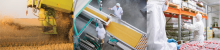 Hazardous chemicals can enter the food system at any stage of food processing, storage, transportation, distribution, or preparation