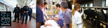 Recognition of a chemical incident may rely on observation. Noticing a pattern of clinical signs in humans or animals can be key to initiating investigations that lead to incident recognition. 