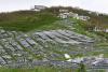 a field of busted solar panels 