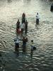 People walk through the New Orleans flood waters to get to higher ground. 